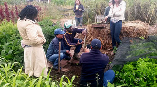 Sammy Kang’ete, an intern from Kenya, teaches visitors at the Golden Rule mini-farm. Photo by Rachel Britten