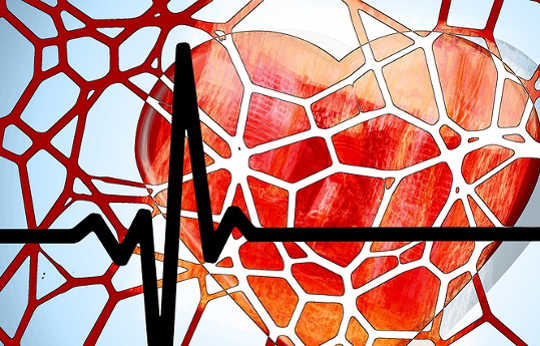 Can Our Immune System Really Cause Heart Disease?