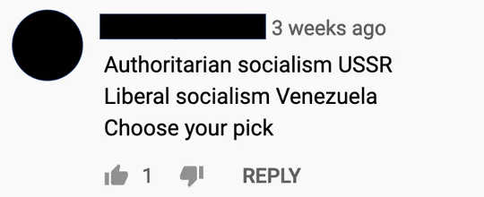 A YouTube commenter uses a megaphone-like approach to preach about the perils of socialism.
