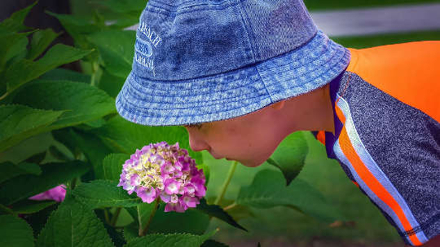 young child smelling a flower