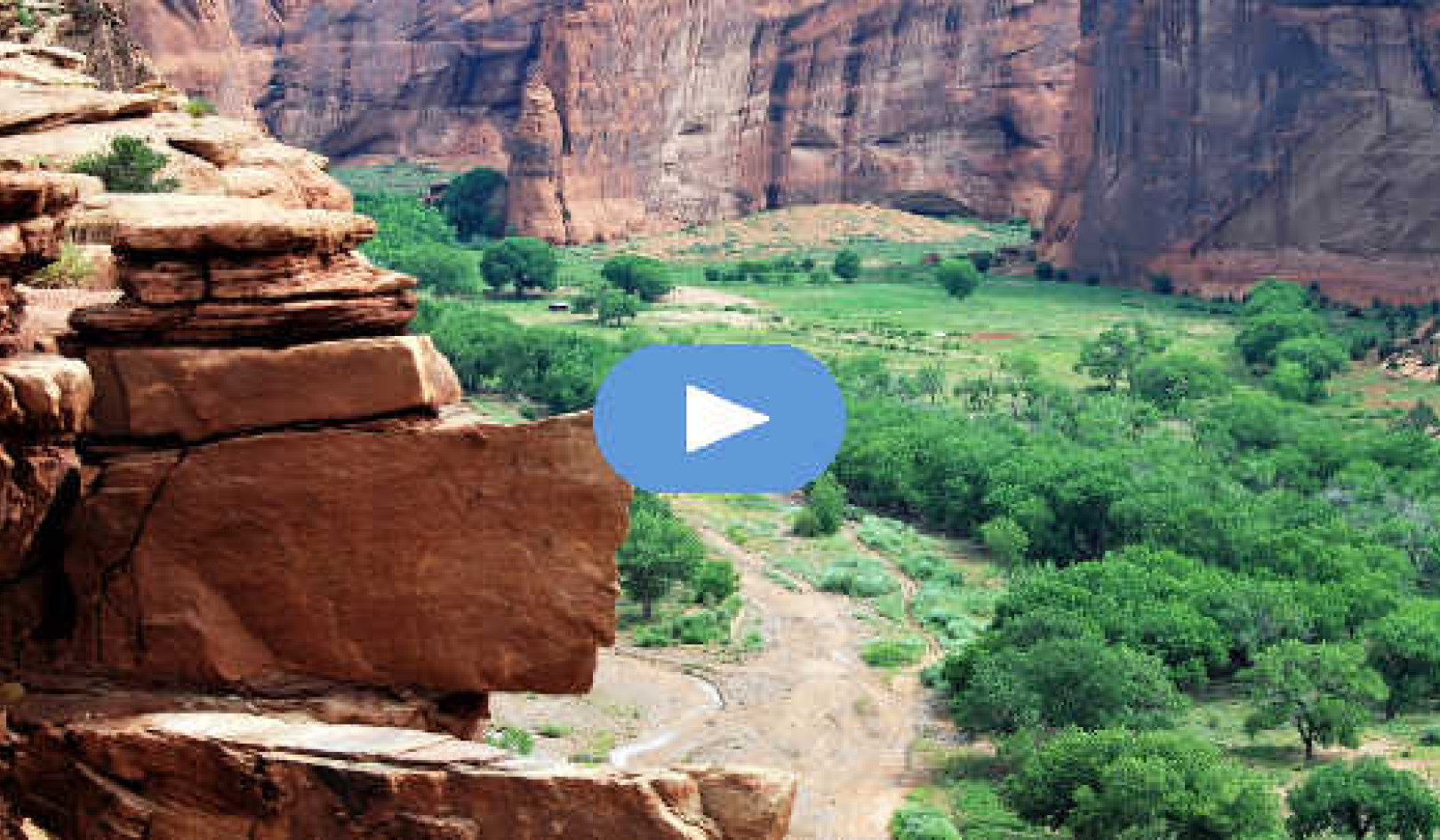 My Mountain Lion Experience in Canyon de Chelly: Nightmare or Spirit Guide? (Video)