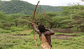 Hadzabe archer launching an arrow from his bow